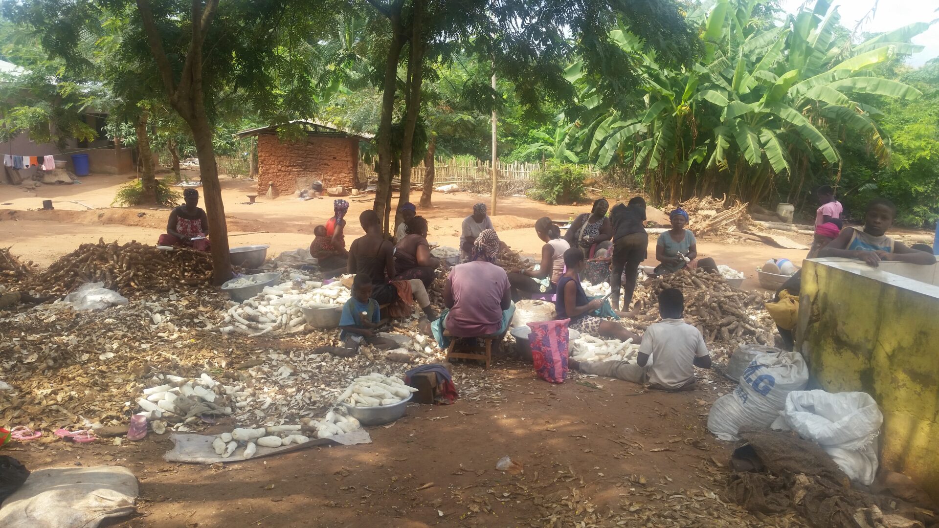 E/R: Workers at Milenovise Gari Village cry over lack of raw material ...